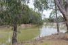 31 ARMSTRONG Drive, Barham NSW 2732-Image