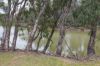 31 ARMSTRONG Drive, Barham NSW 2732-Image