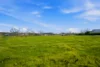 33 Balmoral Drive, Bridgetown WA 6255-Image