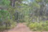 35 Hardwood Loop, Cowaramup WA 6284-Image