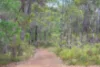 35 Hardwood Loop, Cowaramup WA 6284-Image