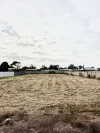 36 Matta Terrace, Clinton SA 5570-Image
