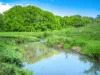 362, Coorabell NSW 2479-Image