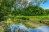362, Coorabell NSW 2479-Image