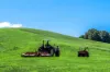 362, Coorabell NSW 2479-Image
