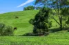 362, Coorabell NSW 2479-Image