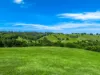 362, Coorabell NSW 2479-Image