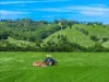 362, Coorabell NSW 2479-Image