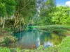 362, Coorabell NSW 2479-Image