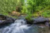 362, Coorabell NSW 2479-Image