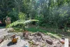 364 Mount Gardiner Road, Bemerside QLD 4850-Image