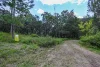 364 Mount Gardiner Road, Bemerside QLD 4850-Image