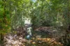 364 Mount Gardiner Road, Bemerside QLD 4850-Image