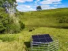 369 Coolamon Scenic Drive, Coorabell NSW 2479-Image