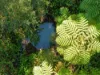 369 Coolamon Scenic Drive, Coorabell NSW 2479-Image