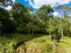369 Coolamon Scenic Drive, Coorabell NSW 2479-Image
