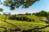 369 Coolamon Scenic Drive, Coorabell NSW 2479-Image
