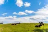 369 Coolamon Scenic Drive, Coorabell NSW 2479-Image