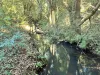 369 Coolamon Scenic Drive, Coorabell NSW 2479-Image