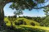 369 Coolamon Scenic Drive, Coorabell NSW 2479-Image