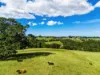 369 Coolamon Scenic Drive, Coorabell NSW 2479-Image