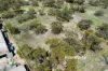 39 Morrison Street, Birchip VIC 3483-Image