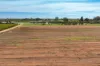 39 Phillips Road, Berri SA 5343-Image