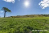 39 Windmill Way, Clarence Town NSW 2321-Image