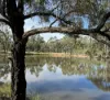 3L Wandarra Road, Brocklehurst NSW 2830-Image