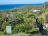 4 The Crescent, Agnes Water QLD 4677-Image
