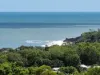 4 The Crescent, Agnes Water QLD 4677-Image