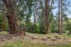 4 William Street, Bowral NSW 2576-Image