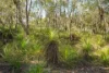 40 Jobson Road, Agnes Water QLD 4677-Image