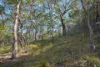 40 Jobson Road, Agnes Water QLD 4677-Image
