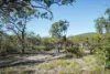 40 Jobson Road, Agnes Water QLD 4677-Image