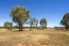 40 Marland Road, Barkly VIC 3384-Image