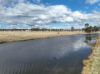 42 Alice Street, Deepwater NSW 2371-Image