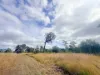 420 Mount Bucca Road, Abbotsford QLD 4670-Image