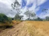 420 Mount Bucca Road, Abbotsford QLD 4670-Image