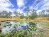 420 Mount Bucca Road, Abbotsford QLD 4670-Image