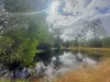 420 Mount Bucca Road, Abbotsford QLD 4670-Image