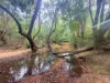 420 Mount Bucca Road, Abbotsford QLD 4670-Image