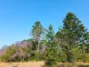 420 Mount Bucca Road, Abbotsford QLD 4670-Image