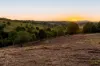 43 Prior Drive, Coopers Shoot NSW 2479-Image