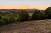 43 Prior Drive, Coopers Shoot NSW 2479-Image