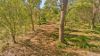 43 Rafting Ground Road, Agnes Water QLD 4677-Image