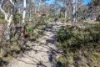 44 Godson Avenue, Blackheath NSW 2785-Image