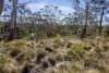 44 Godson Avenue, Blackheath NSW 2785-Image
