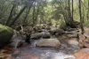 45 Stonewood Road, Diwan, Daintree QLD 4873-Image