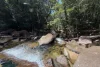 45 Stonewood Road, Diwan, Daintree QLD 4873-Image